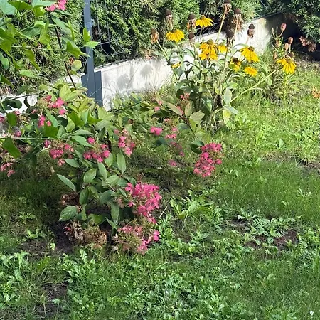 2 Tyskie Apartamenty Z Prywatnym Ogrodkiem *