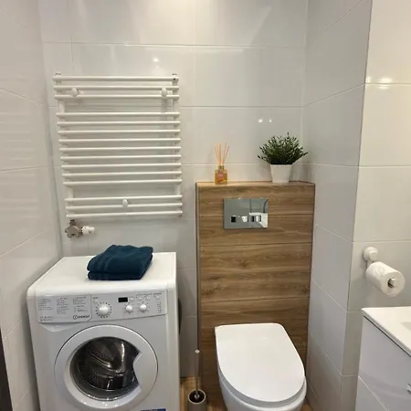 2 Tyskie Apartamenty Z Prywatnym Ogrodkiem 아파트 타이치