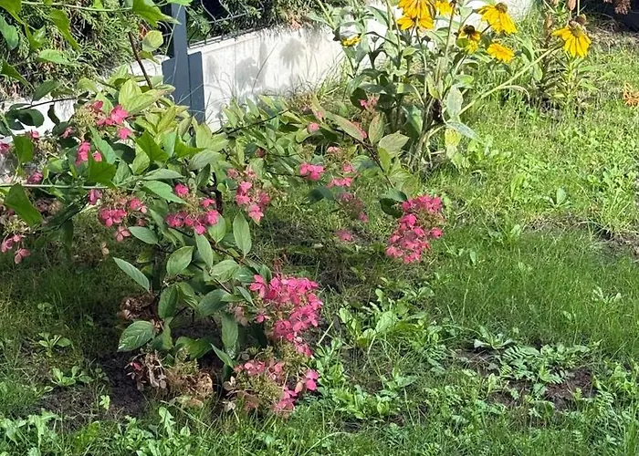 2 Tyskie Z Prywatnym Ogrodkiem *