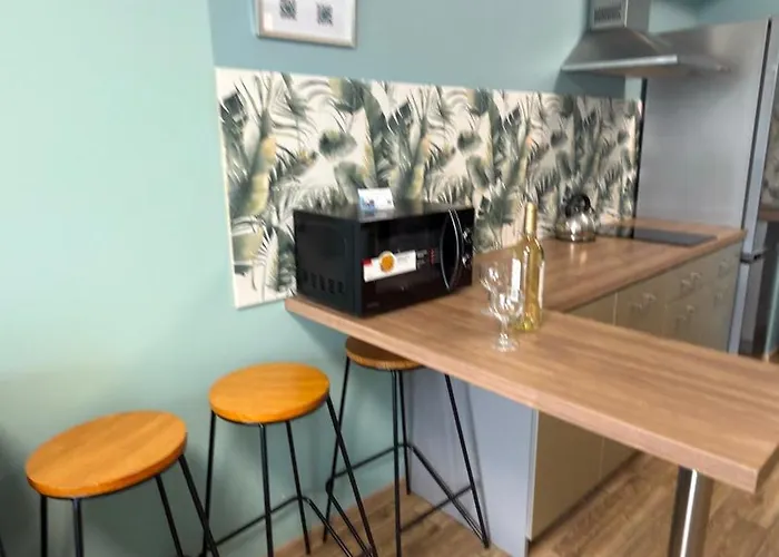 2 Tyskie Z Prywatnym Ogrodkiem דירה טיצ'י